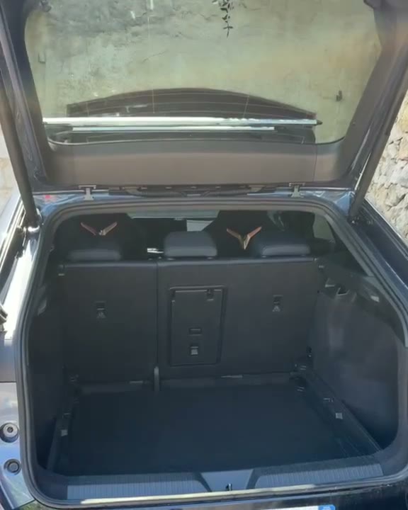 Seat Cupra après intervention